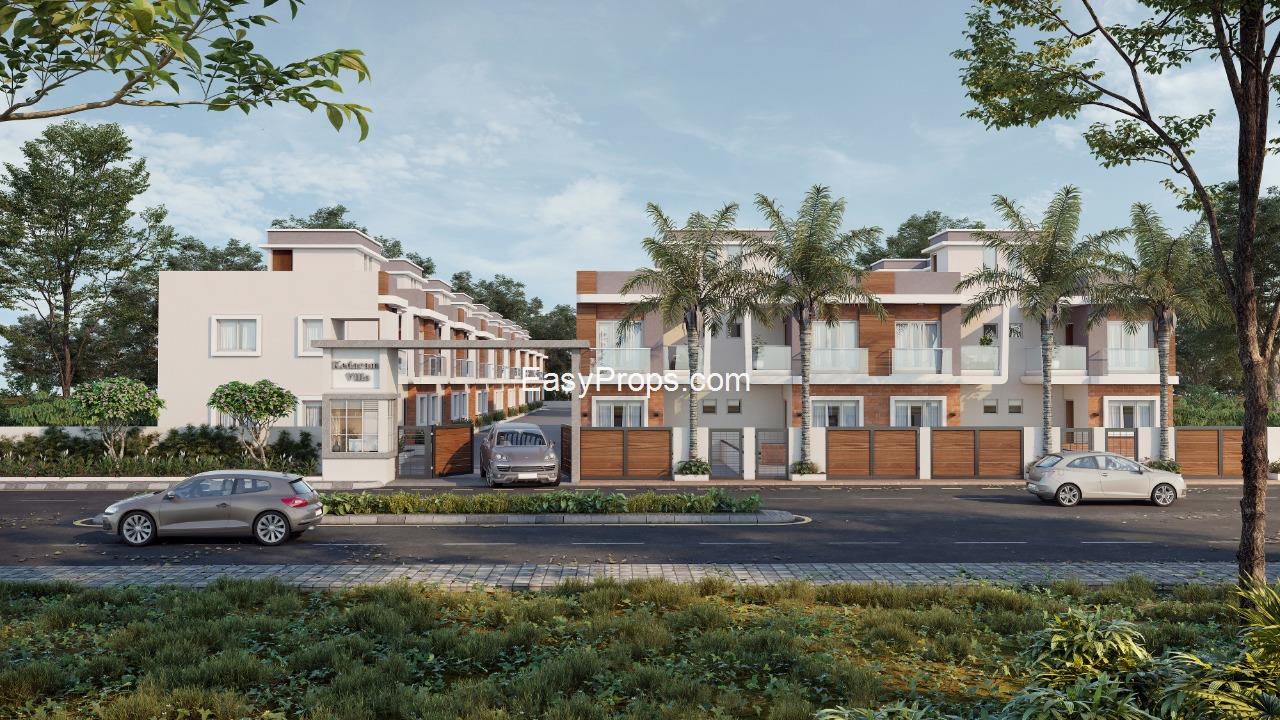 2024-07-15 (5)_20250328092841981.jpg